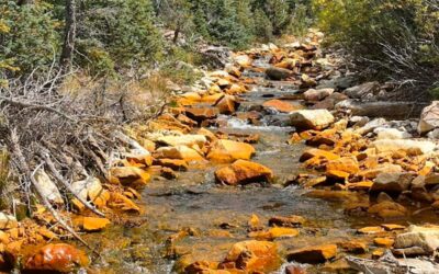 Mine Reclamation, Metal Mobilization, And Aquatic Toxicity In The Mancos River Watershed